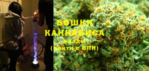 ешки Арсеньев